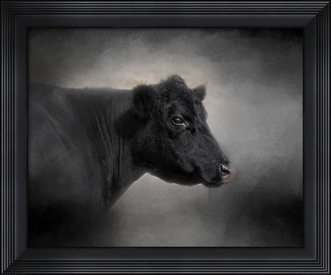 Framed Portrait Of The Black Angus Print