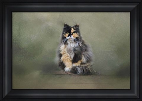 Framed Rooftop Roost Print