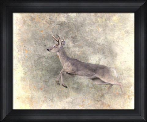 Framed Run Like The Wind White Tailed Buck Print