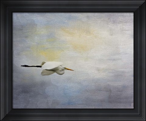 Framed Silent Flight Great White Egret Print