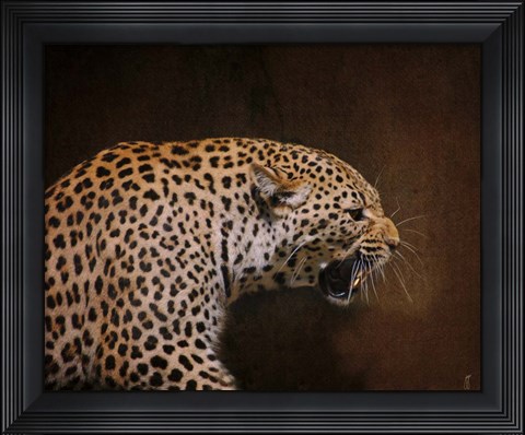 Framed Snarling Leopard Print
