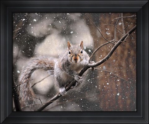 Framed Snow Day Squirrel Print