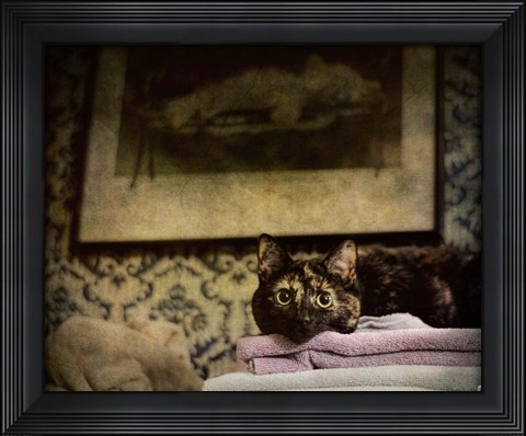 Framed Soft Place To Fall Print