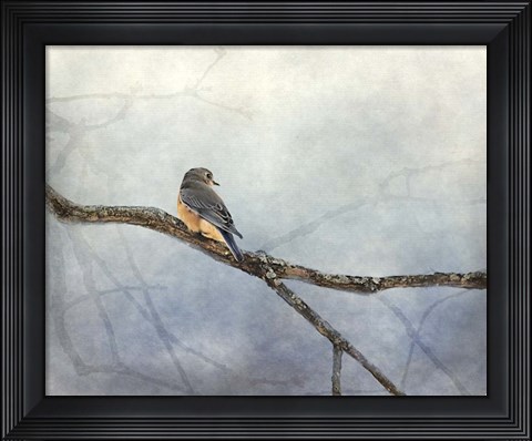 Framed Solitude Bluebird Print