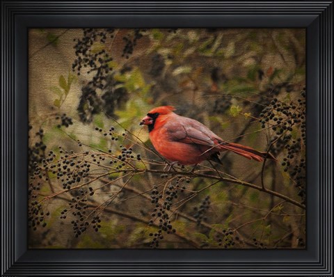 Framed Song Of The Red Bird 2 Print