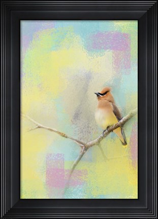 Framed Song Of The Waxwing Print