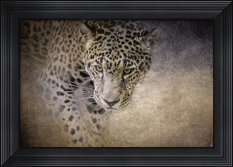 Framed Stalking Her Prey Leopard Print