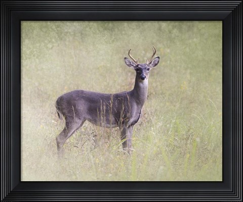Framed Stand Tall Print