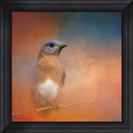 Framed Summer Day Bluebird Print