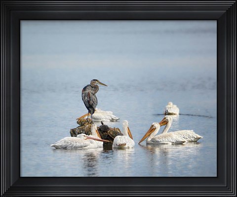 Framed Support Group Print