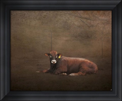 Framed Tag Number 1121 Print