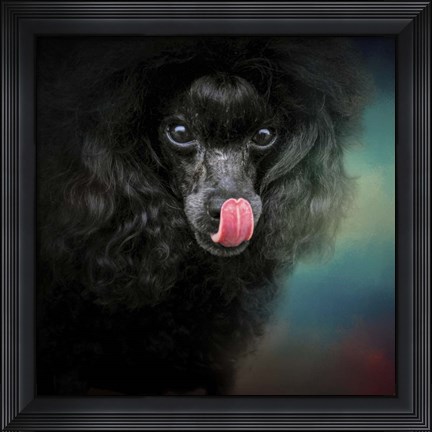 Framed Treat Snatcher Toy Black Poodle Print