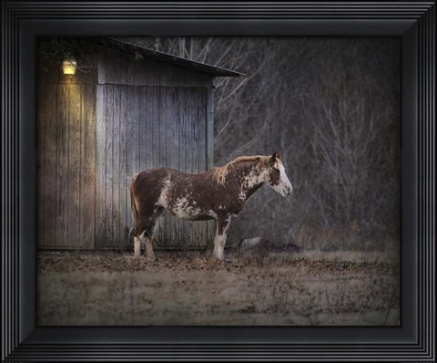 Framed Waiting For Winter Horse Print