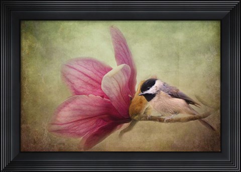 Framed Welcome Spring Print