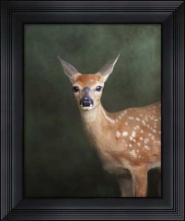 Framed White Tailed Fawn Portrait Print