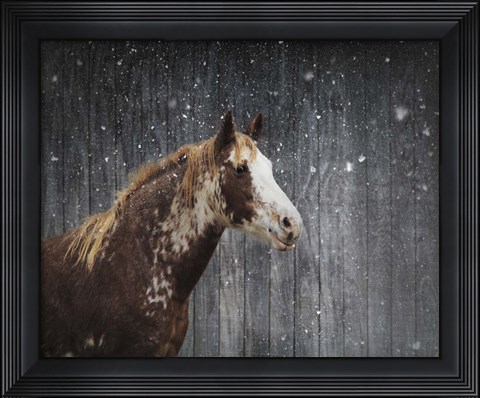 Framed Winters Arrival Horse Print