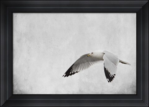 Framed Winters Return Print