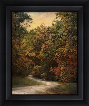 Framed Autumn Forest 1 Print