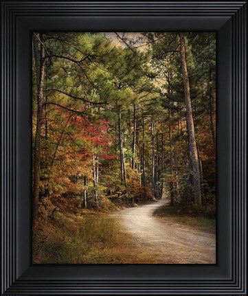 Framed Autumn Forest 2 Print