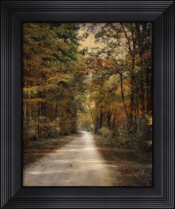 Framed Autumn Forest 3 Print