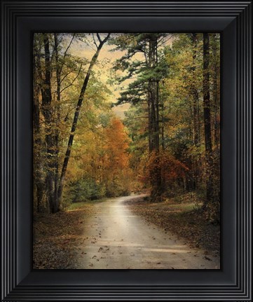 Framed Autumn Forest 4 Print