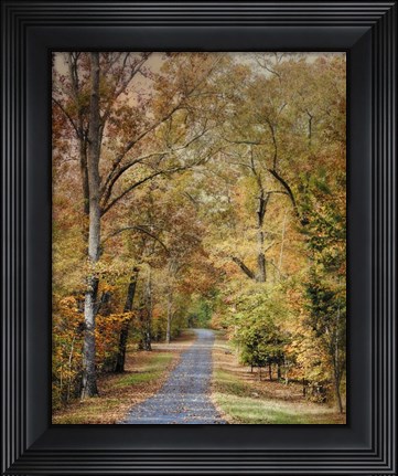 Framed Autumn Passage 2 Print