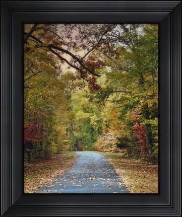 Framed Autumn Passage 3 Print