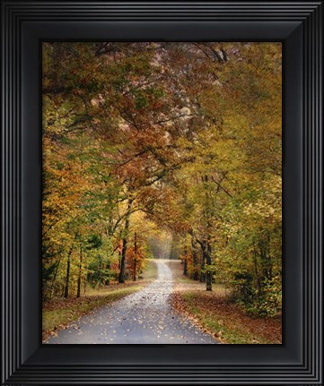 Framed Autumn Passage 4 Print