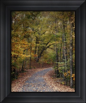Framed Autumn Passage 5 Print