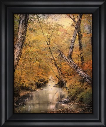 Framed Autumn Riches 1 Print
