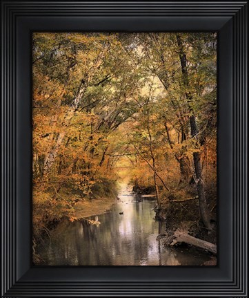 Framed Autumn Riches 2 Print