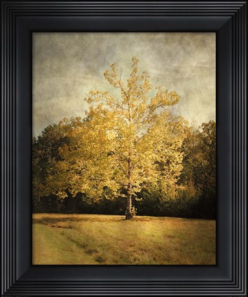 Framed Beginning Of Autumn Print