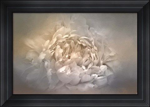 Framed Blushing Silver And Gold Peony Print