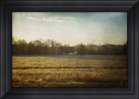 Framed Break In The Trees Print