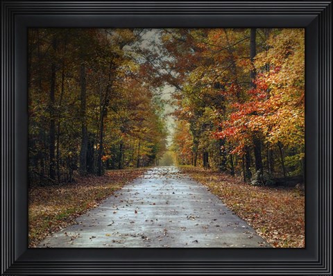 Framed Changing Season 2 Print