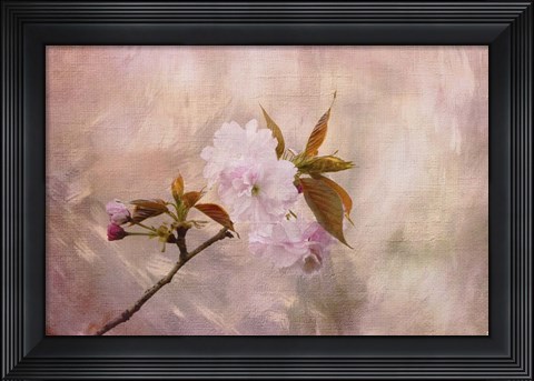 Framed Cherry Blossom Print