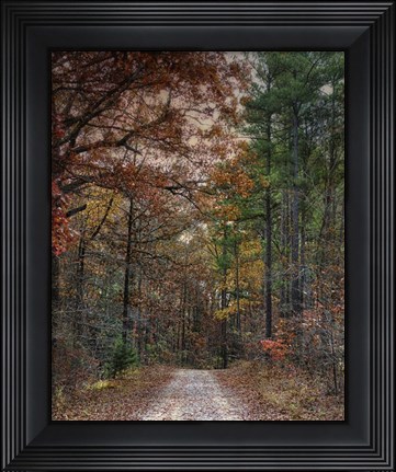 Framed Chickasaw Forest In Autumn 1 Print