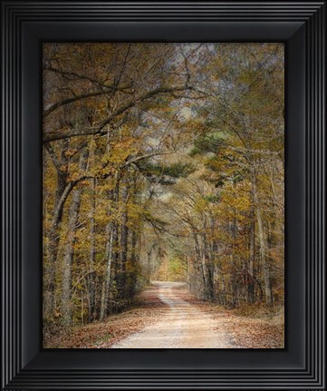 Framed Chickasaw Forest In Autumn 2 Print
