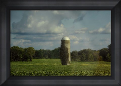 Framed Country Beacon Print