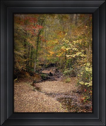 Framed Creek Bed In Autumn Print
