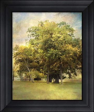 Framed Divinity Print