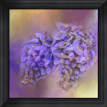 Framed Enticing Wisteria Print