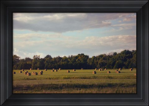 Framed Facing The Sun Print