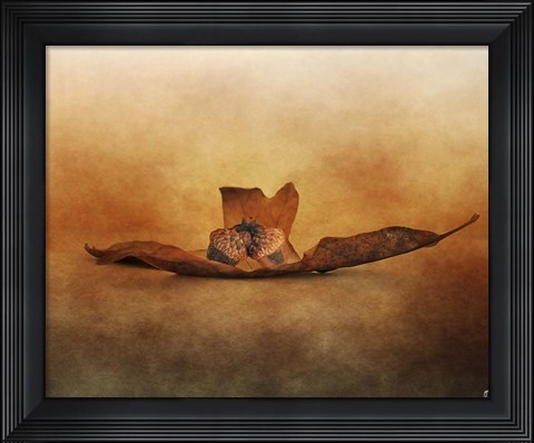 Framed Fallen Together Print