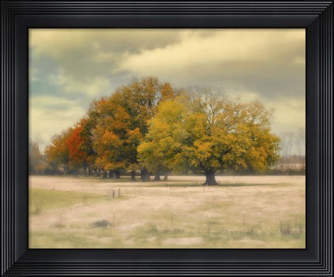 Framed Foggy Autumn Morning Print