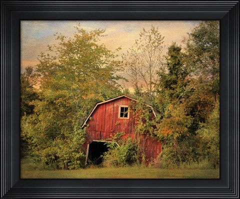 Framed Forgotten Treasure Print