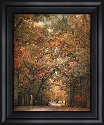Framed Grove Of Memories Print