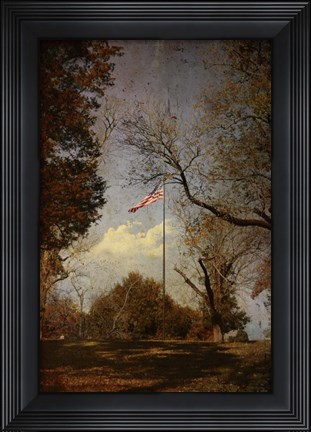 Framed I Pledge Allegiance Print