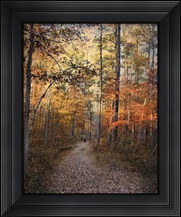 Framed Journey Within Print