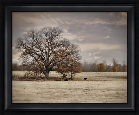 Framed Lazy Autumn Day Print